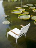 DOMINO záhradná stolička područka teak